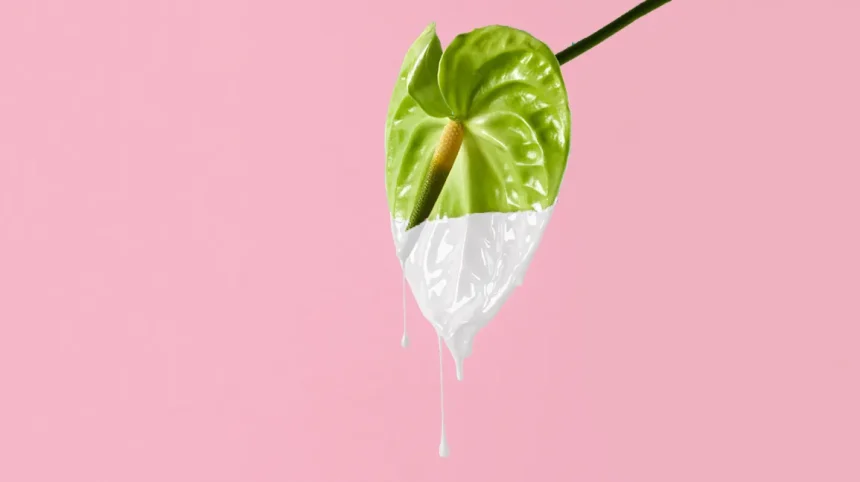 Vaginal Flora