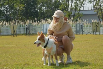 Pet Care
