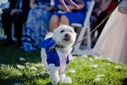Pet Friendly Wedding