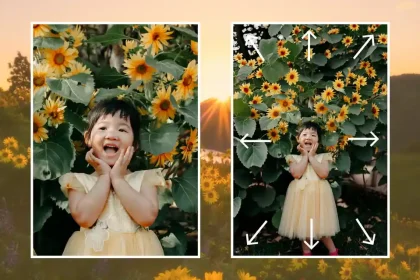 Video Watermarks