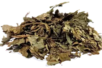 Salvia Divinorum Leaves
