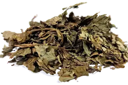 Salvia Divinorum Leaves