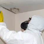 Black Mold Removal