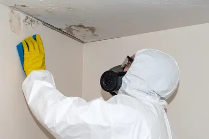 Black Mold Removal