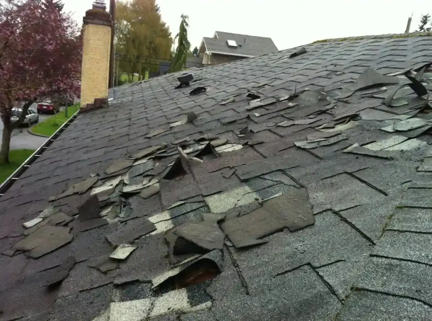 Roof