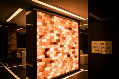 Salt Bricks