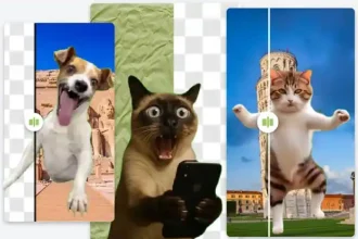 Background Remover