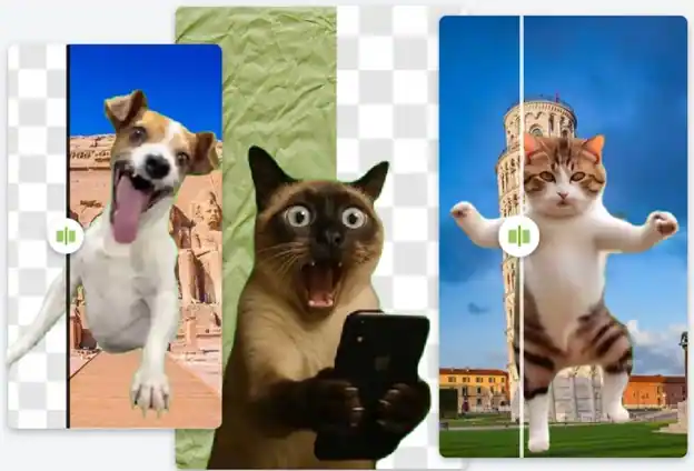 Background Remover