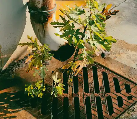 Handle Blocked Drains