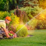 Lawn