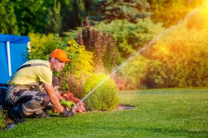 Lawn
