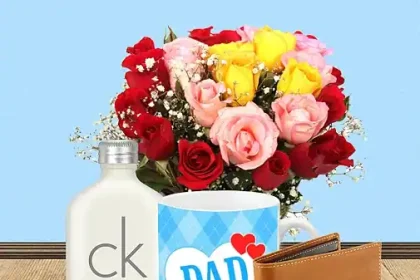 Father's Day gift ideas