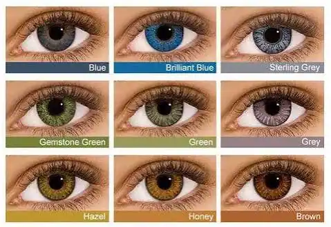 Prescription Contact Lenses