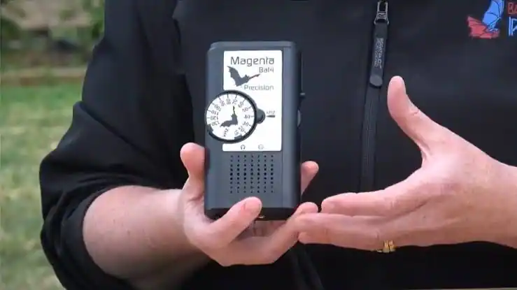 bat survey equipment