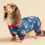 Dachshund clothes