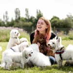 doggy day care