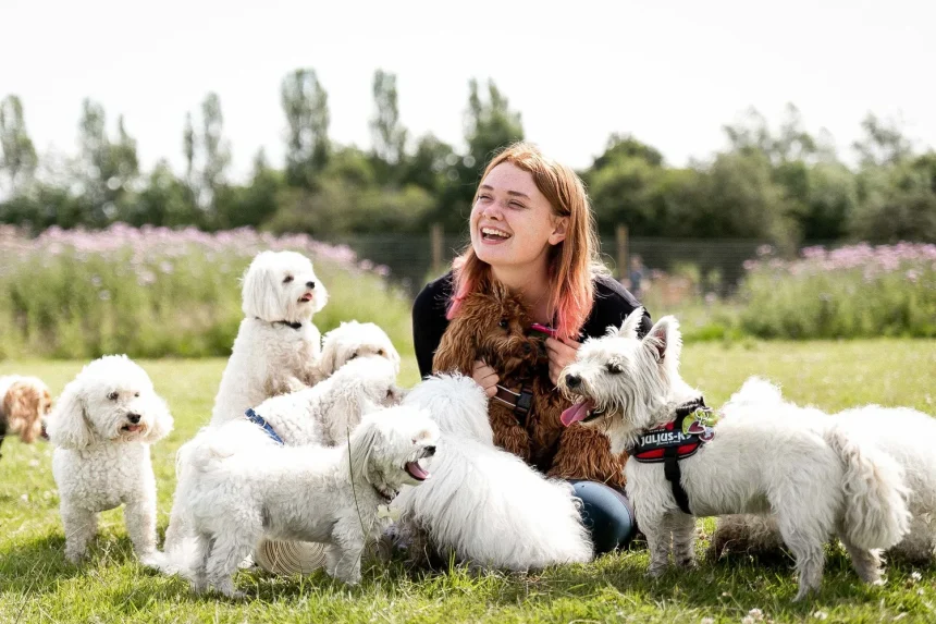 doggy day care