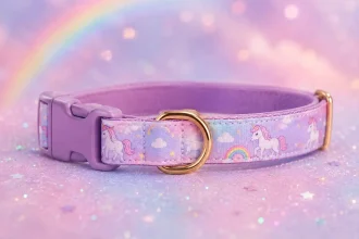 lucy & co. unicorn magic dog collar